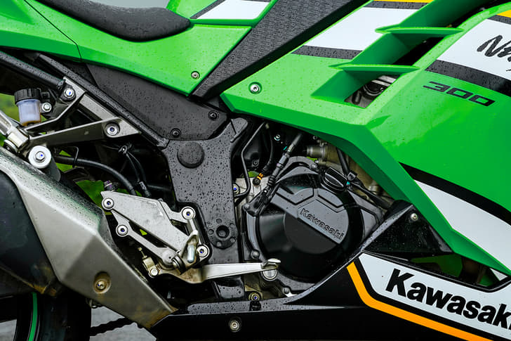 Kawasaki Ninja 300 Color Green