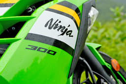 Kawasaki Ninja 300 Color Green