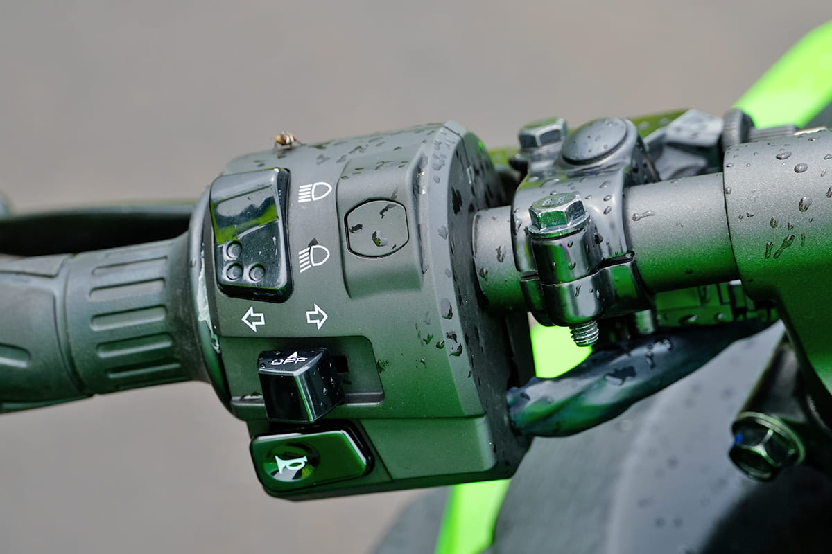 Color Black, Green