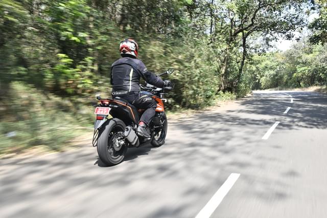 Rear View Image - 25876