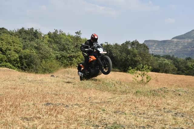 Color Orange Image - 25925