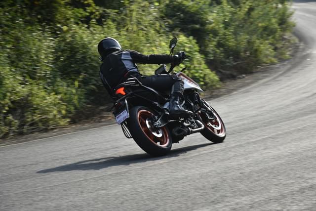 Rear View Image - 25749