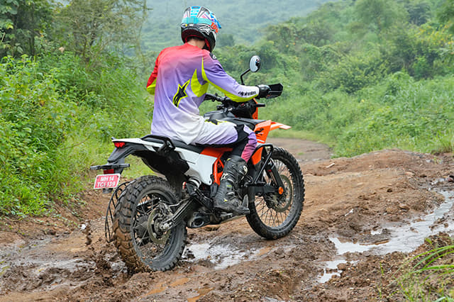 Color Orange, White, Purple