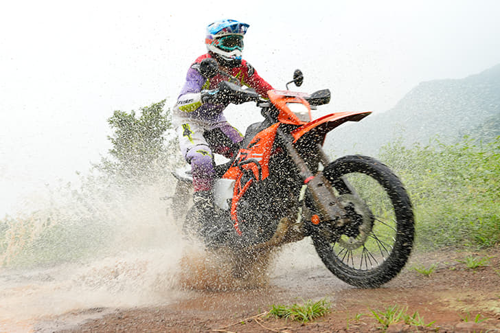 Color Orange, Purple, White, Green