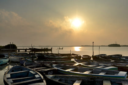 Discover India: Chidambaram - Image 7