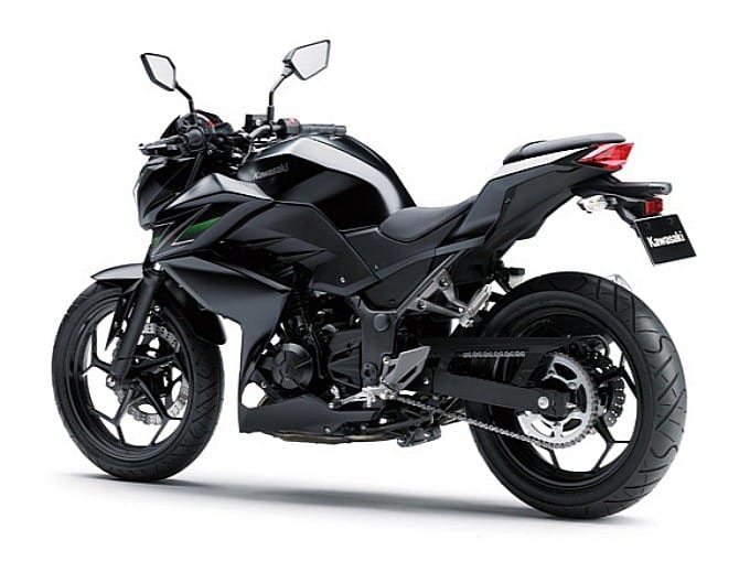 New Kawasaki Z250 unveiled - Introduction | Autocar India