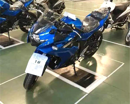 Suzuki Gixxer 250 breaks cover