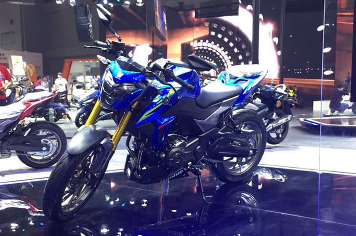 Houje DR300/Suzuki GSX-S300 unveiled