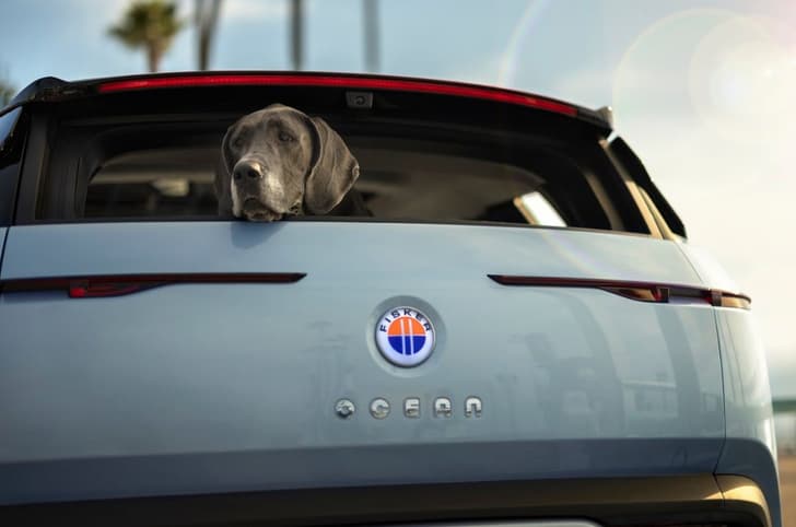Fisker Ocean Electric SUV doggie window