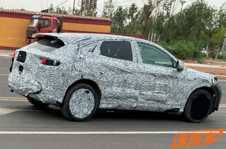 BYD Sea Lion rear