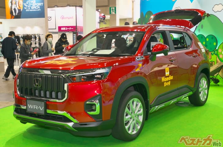 Honda Elevate dog edition Honda Elevate dog edition