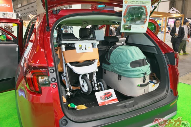 Honda Elevate dog edition Honda Elevate dog edition