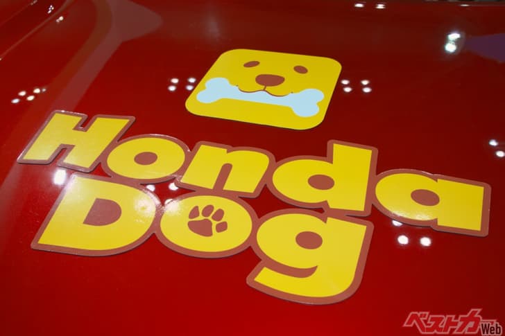 Honda Elevate dog edition Honda Elevate dog edition