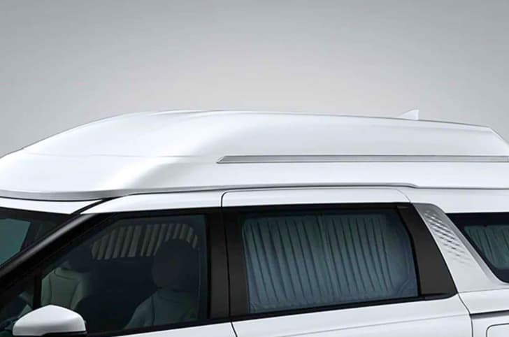 Kia Carnival Hi Limousine. Kia Carnival Hi Limousine roof.