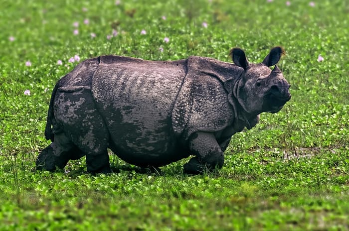 Paradise unexplored - Honda Drive to Discover 9