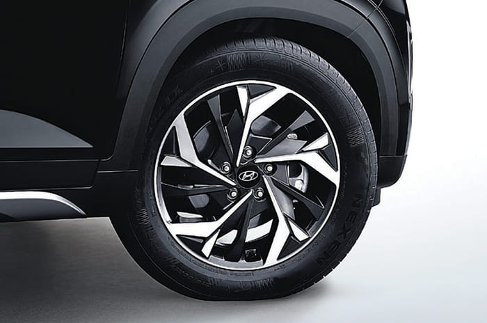 All Hail The New Lion King