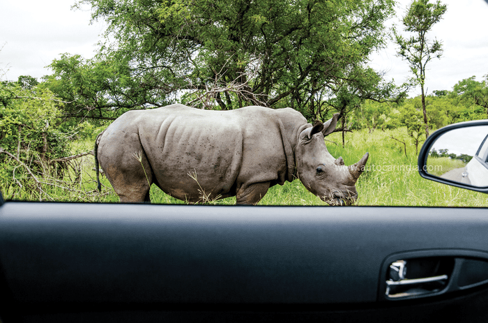 300th issue special: Unforgettable 300km road trips 