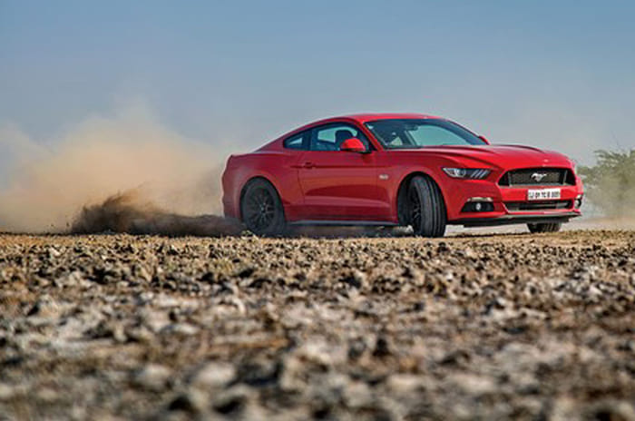 The Ford DNA and more