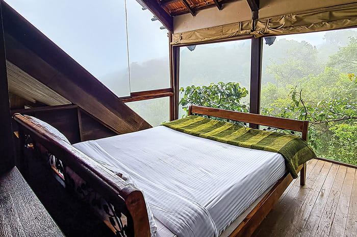 Special Feature: The Road To A Green Future Starts Here