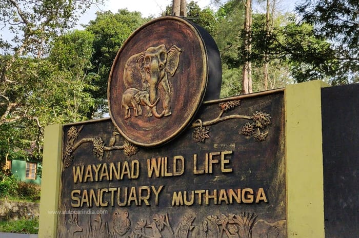 Honda Drive to Discover 11: Sedan hopping from Bengaluru to Kochi