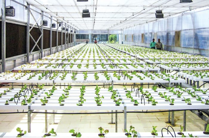 Harley-Davidson X440 factory visit: Hero’s Garden Factory