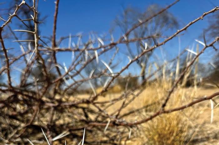 BMW GS Trophy Namibia experience: Into the Wild