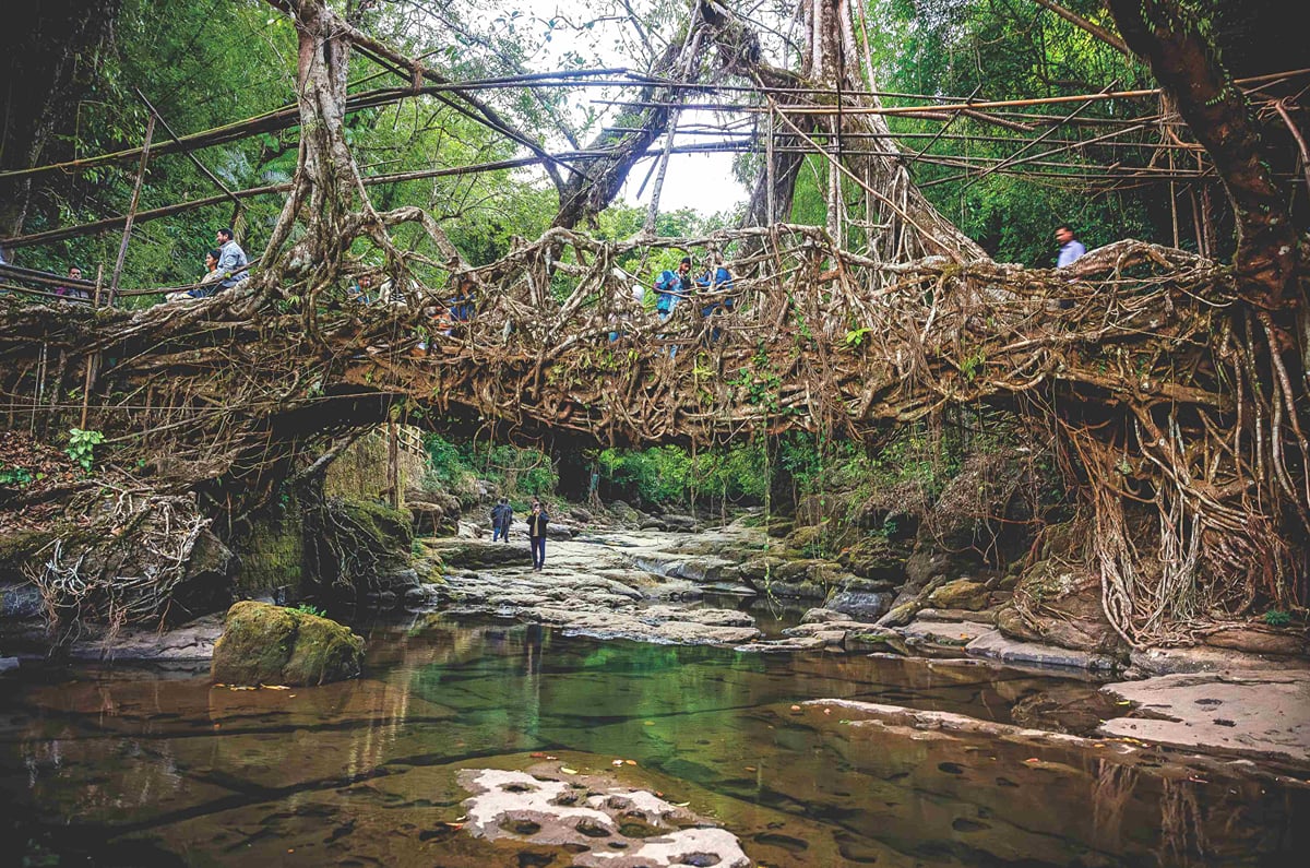 Travelers crossing a living root bridge in Meghalaya