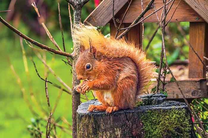 Road tripping in the Defender Octa across England's Lake District