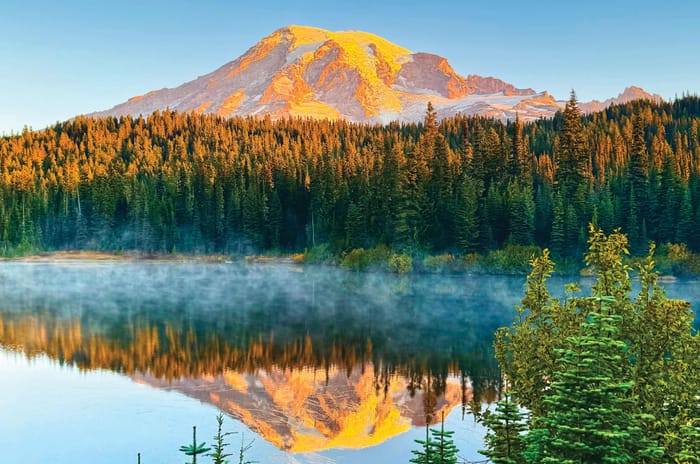 Mt Rainier National Park