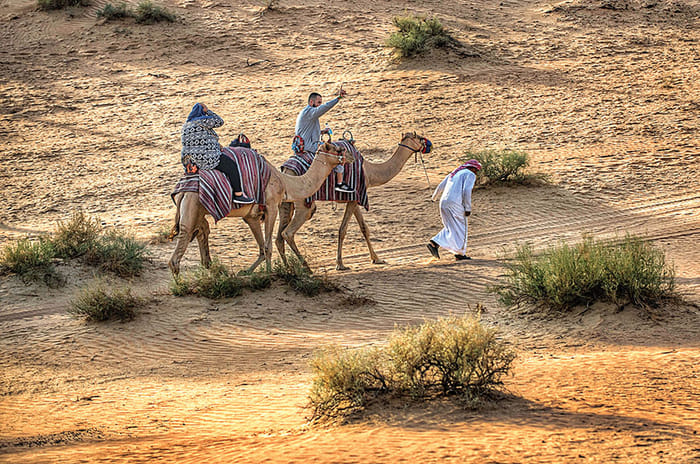 Nissan Desert Drive Experience