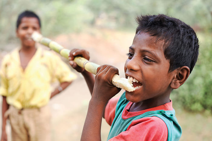 Analysis: Why India is pursuing ethanol as an automotive fuel