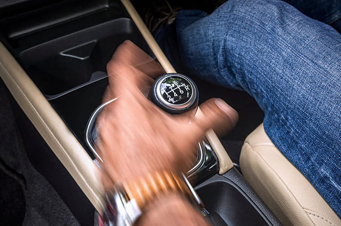 Special Feature: Exhilaration Guaranteed