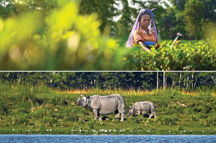 Hyundai 4K Extreme Drive: Taking it to the Extreme(s)