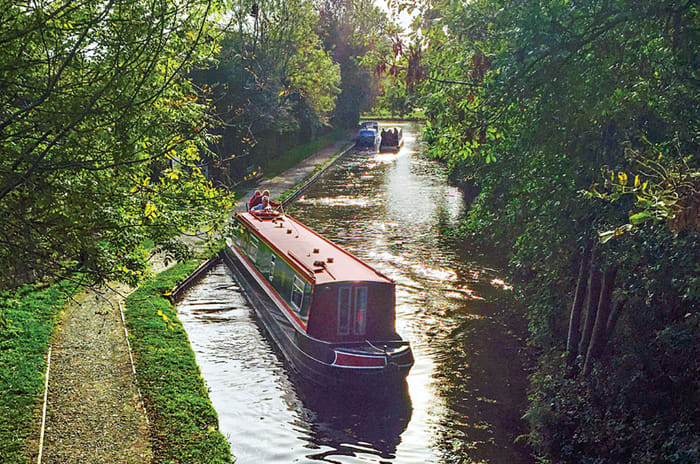 Celebrating 100 years of Bentley