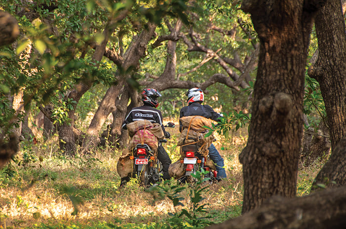 As Low As It Gets: TVS XL 100 and Bajaj CT100 feature