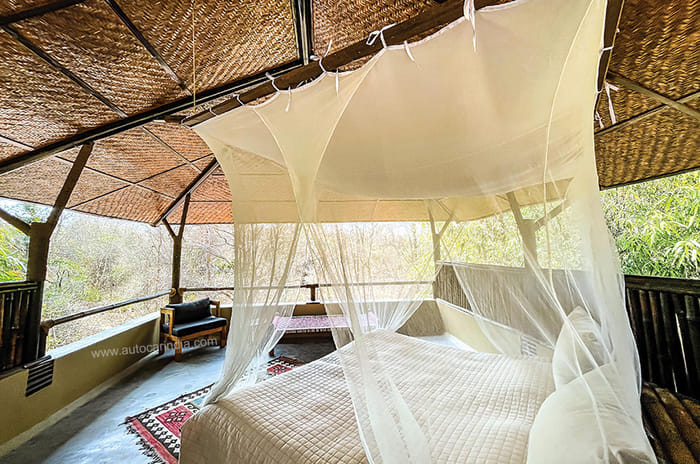 Green 2 Green Drive: Tata Nexon EV on safari in Satpura