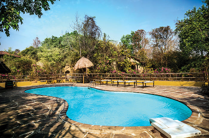 Green 2 Green Drive: Tata Nexon EV on safari in Satpura