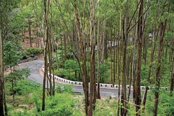 Mobil 1 Great car great road: BMW M4