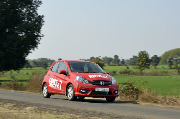 Welcome to the jungle!