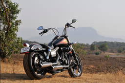 Almost makes you want to get astride and ride into the sunset