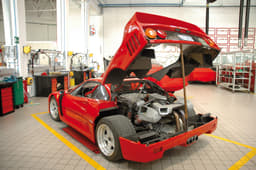 The restoration room.