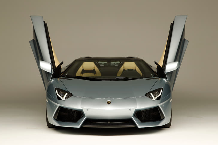 Lamborghini Aventador Roadster photo gallery