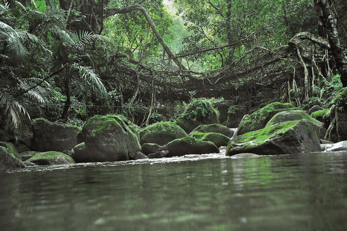 Audi Great India quattro Drive 1 photo gallery  