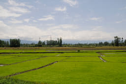 Scenery of all colours. 
