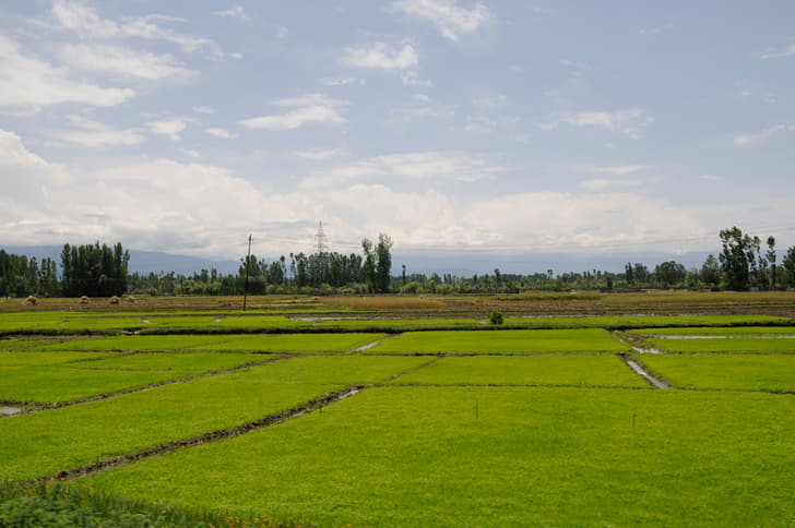 Scenery of all colours.