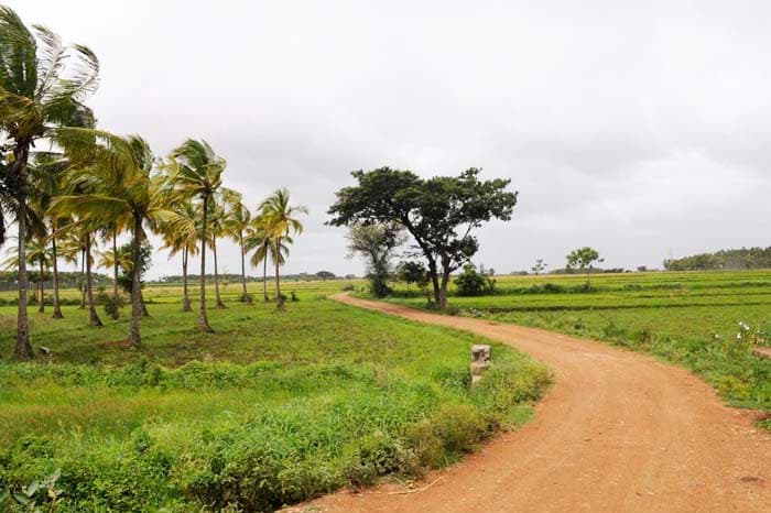 Audi Great India quattro Drive 3 photo gallery  