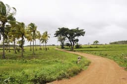 Audi Great India quattro Drive 3 photo gallery  