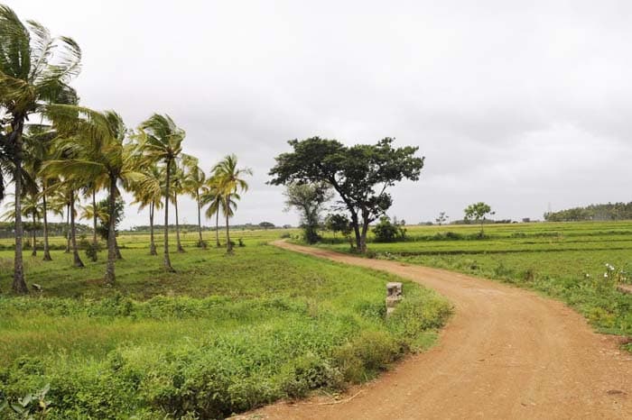 Audi Great India quattro Drive 3 photo gallery  