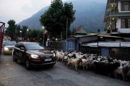 Audi Great India quattro Drive 3 photo gallery  