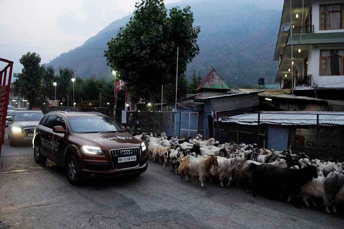 Audi Great India quattro Drive 3 photo gallery  